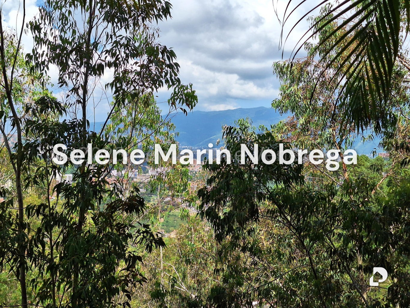 Apartamento en Los Naranjos (del Cafetal), Caracas – 7