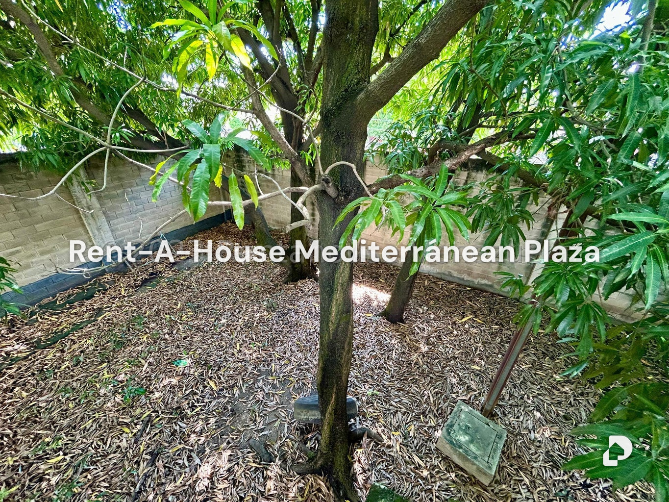 Terreno en Industrial Carabobo, Valencia – 20