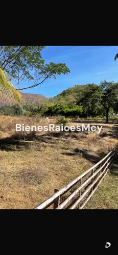 Finca en San Casimiro – 7