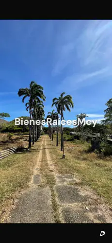Finca en San Casimiro – 13