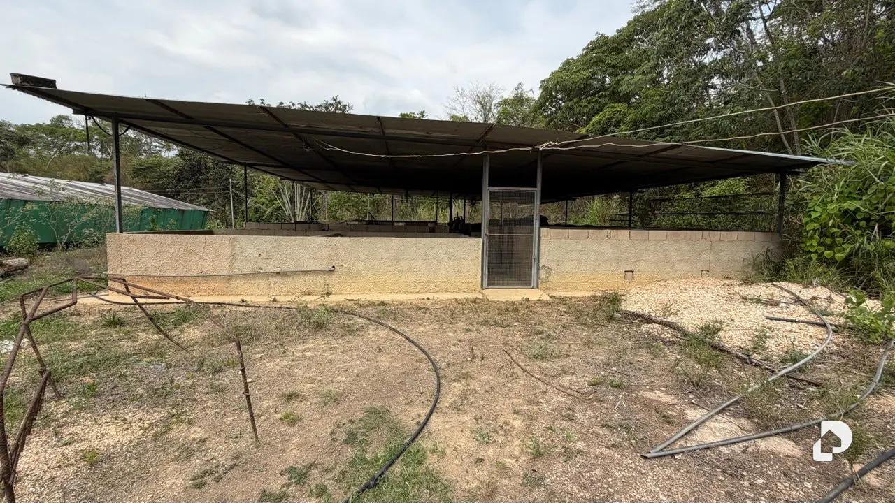 Terreno en Canaposare, Libertador – 6