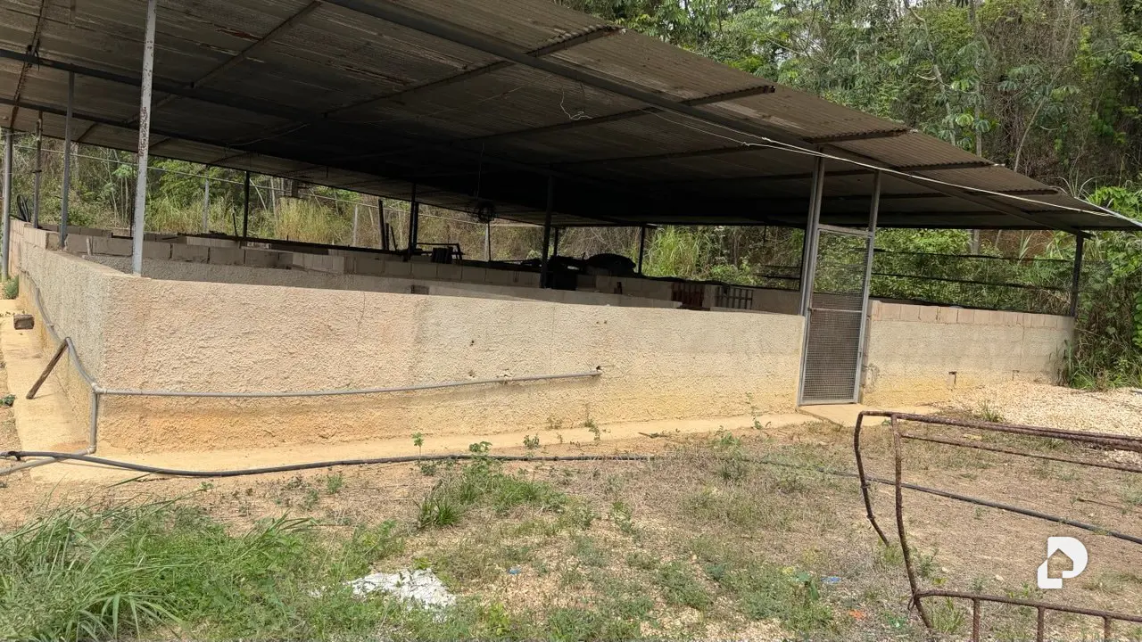 Terreno en Canaposare, Libertador – 5