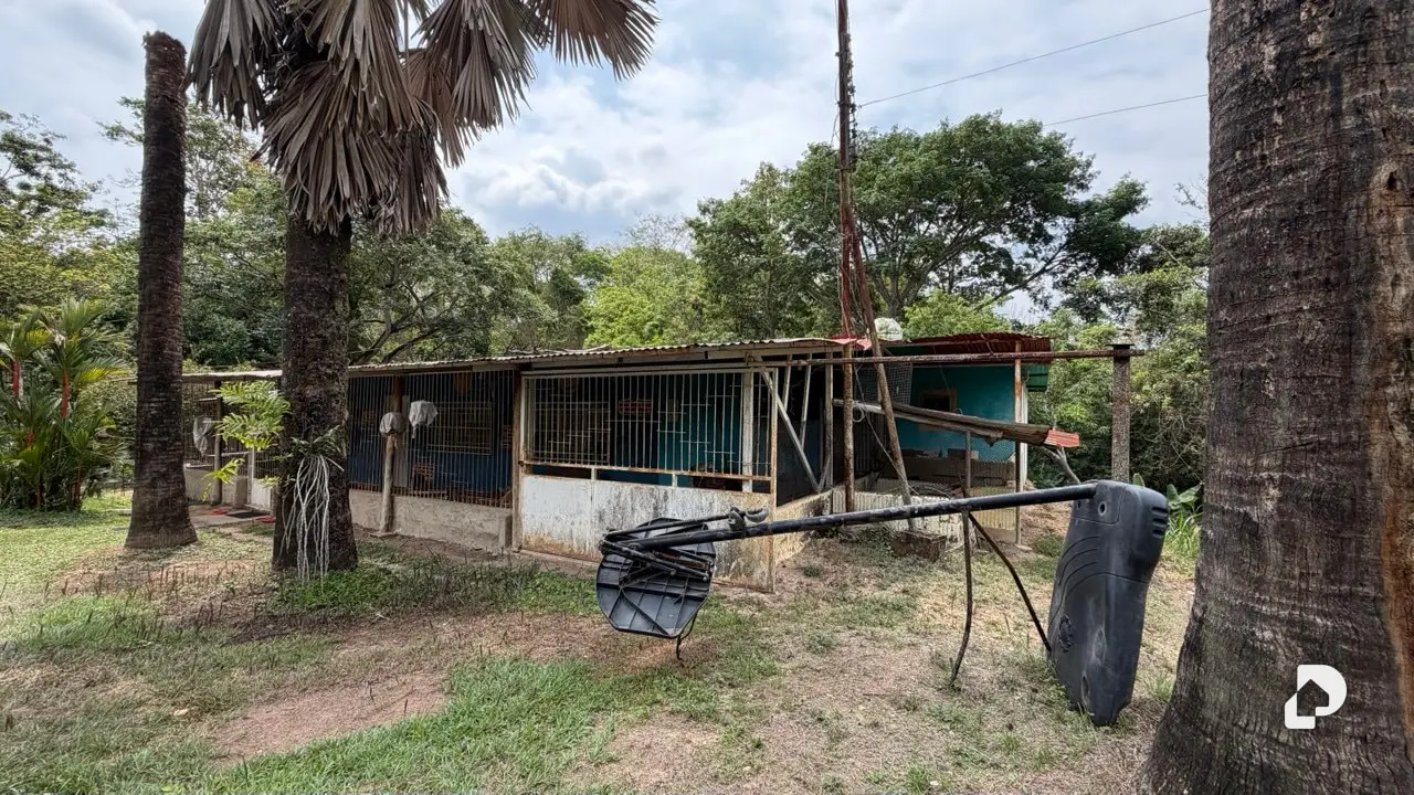 Terreno en Canaposare, Libertador – 8