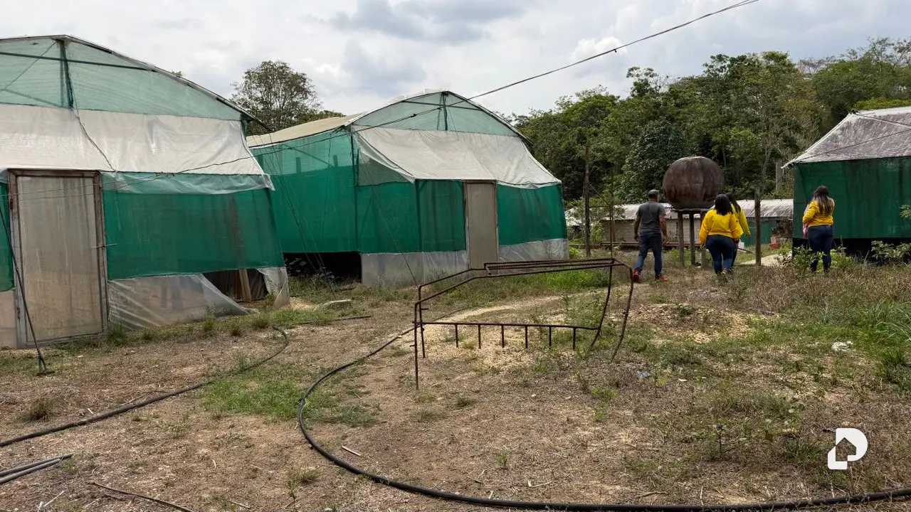 Terreno en Canaposare, Libertador – 3