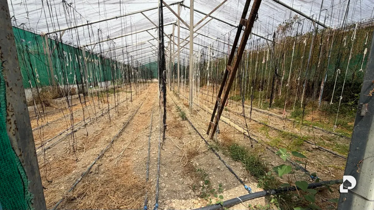 Terreno en Canaposare, Libertador – 4