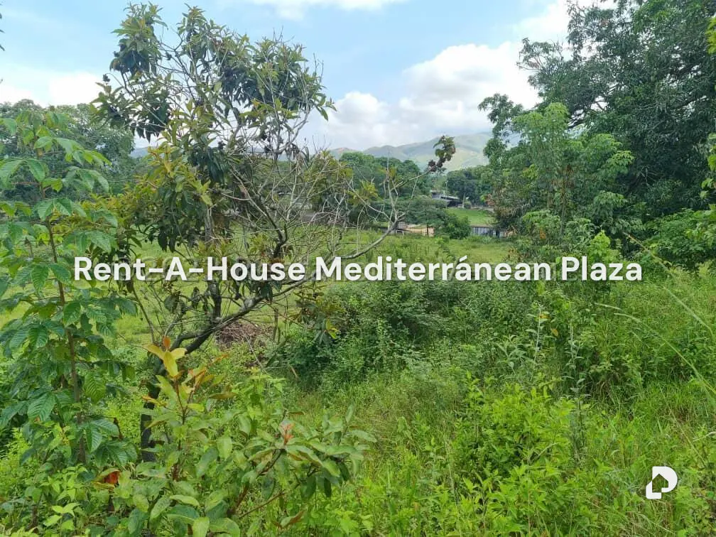 Terreno en Bejuma – 12