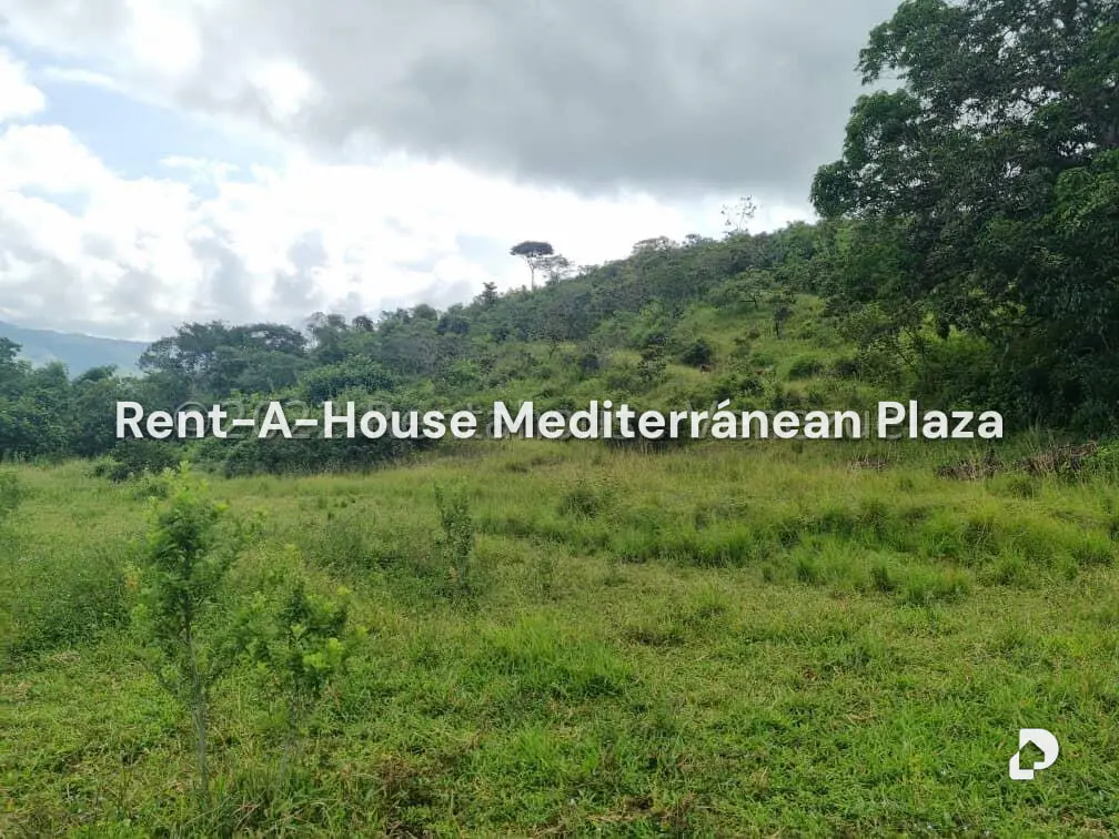 Terreno en Bejuma – 8