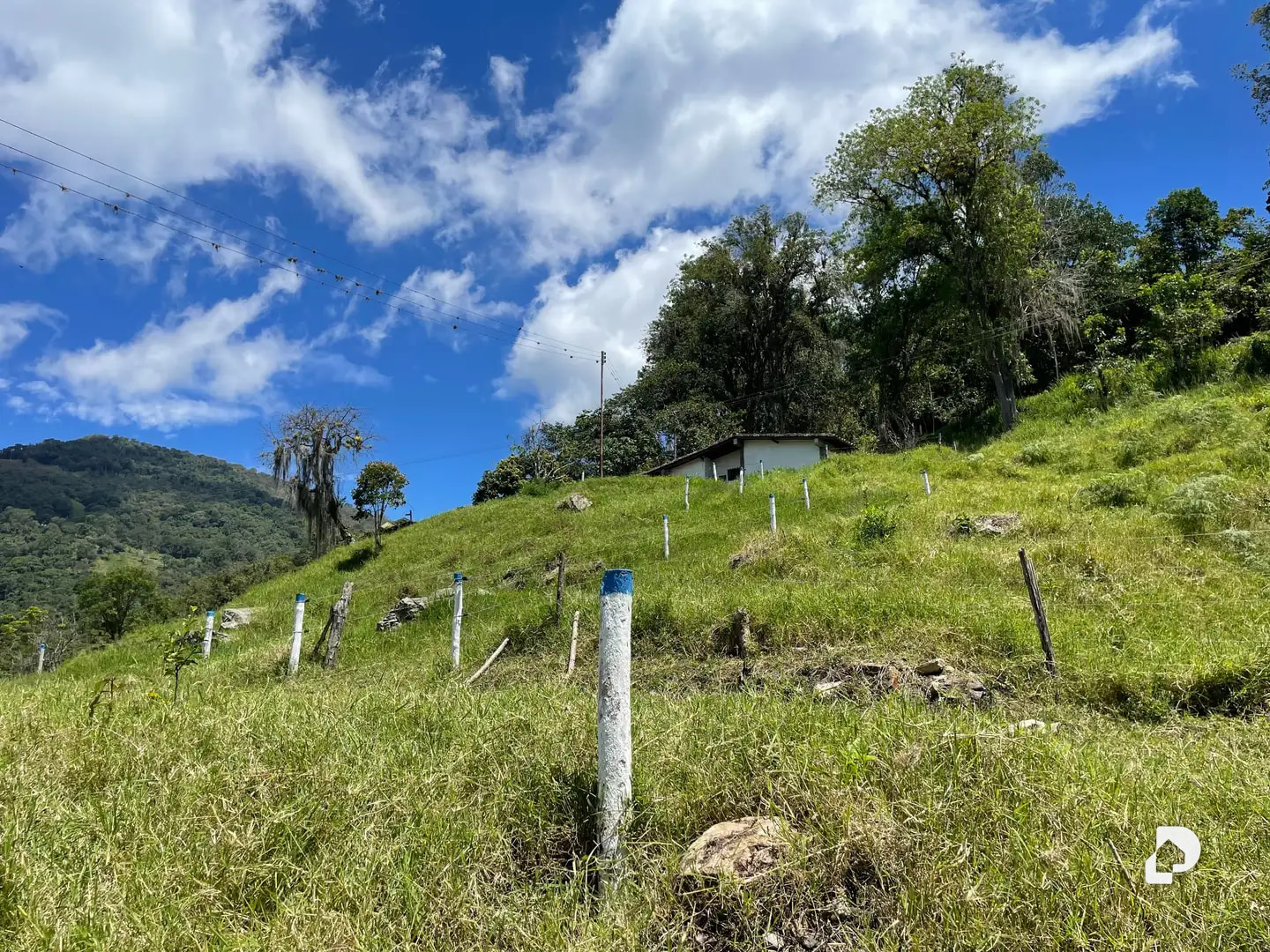 Finca en La Florida, Jají – 16