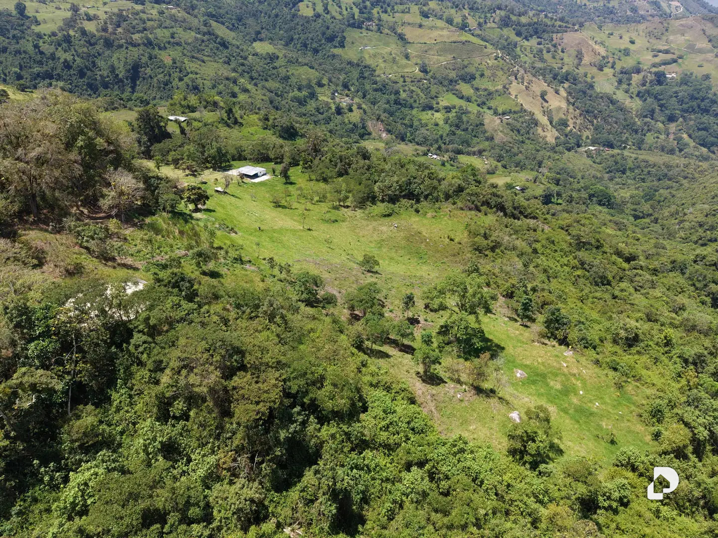 Finca en La Florida, Jají – 2