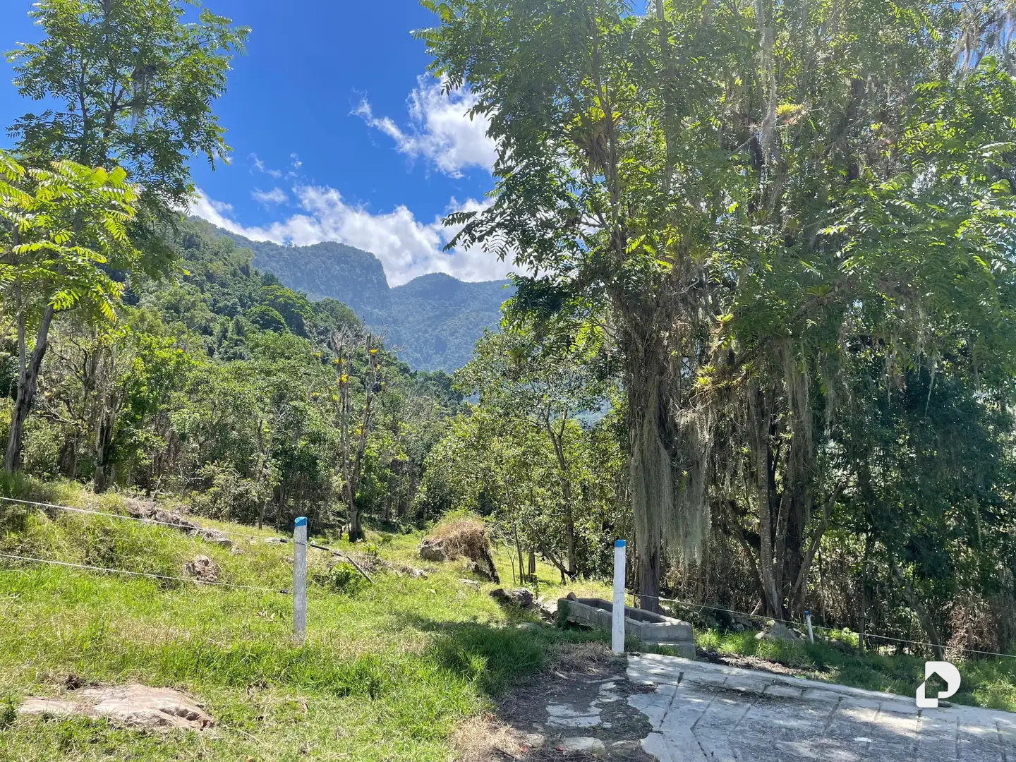 Finca en La Florida, Jají – 13