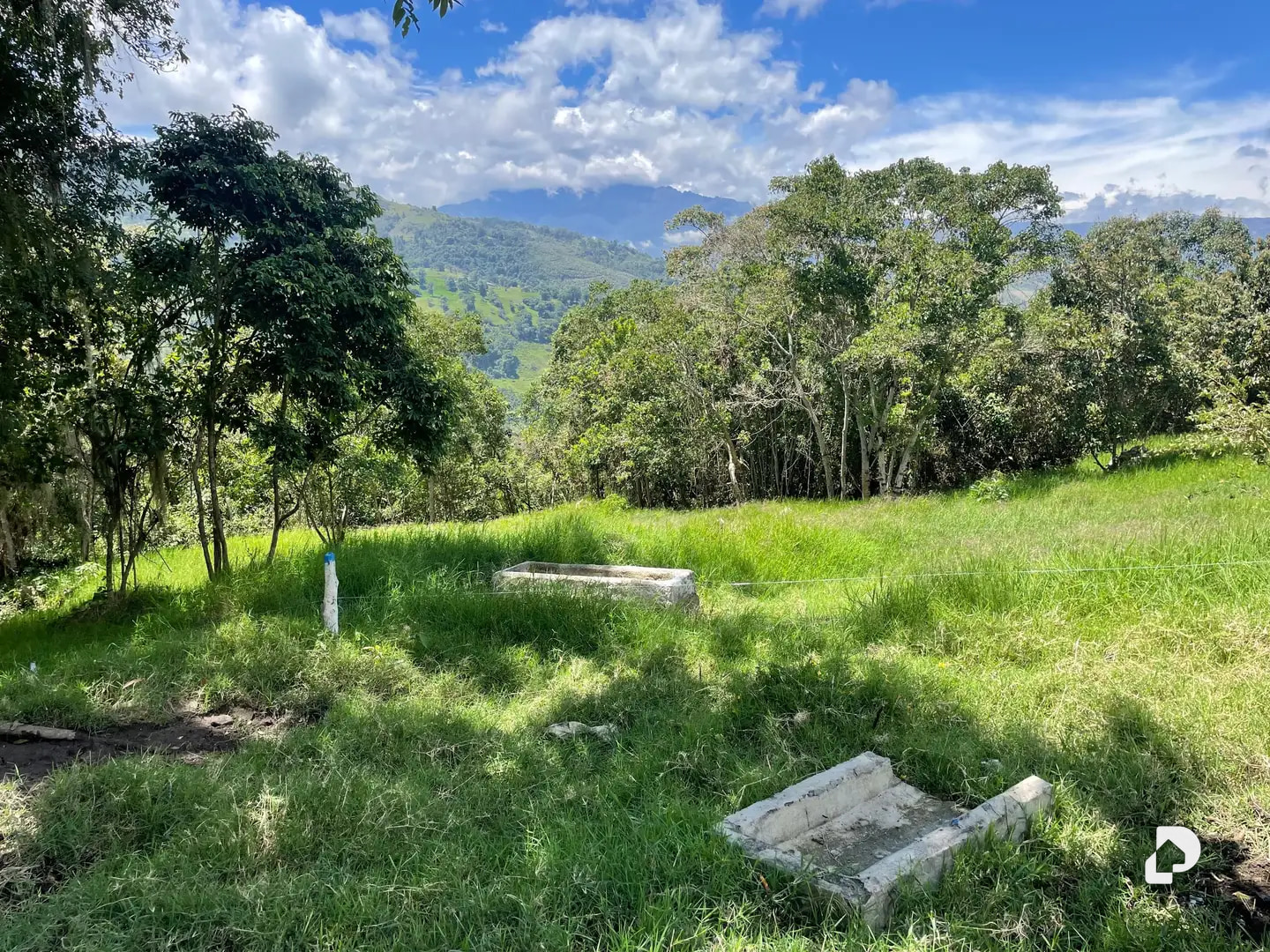 Finca en La Florida, Jají – 15