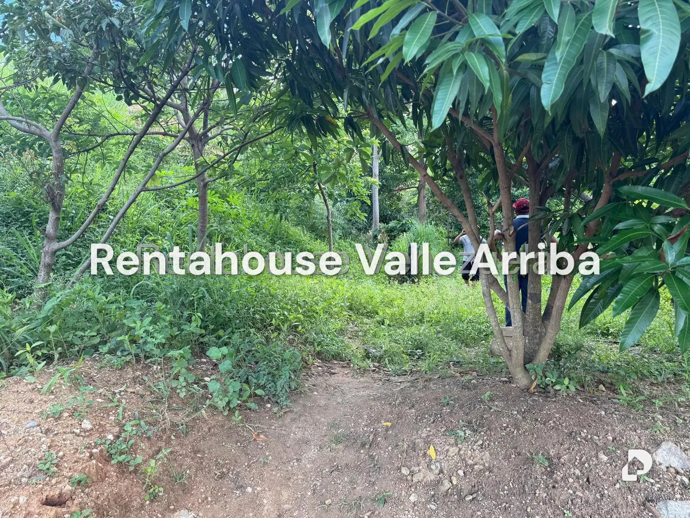 Terreno en La Rosa, Guatire – 4