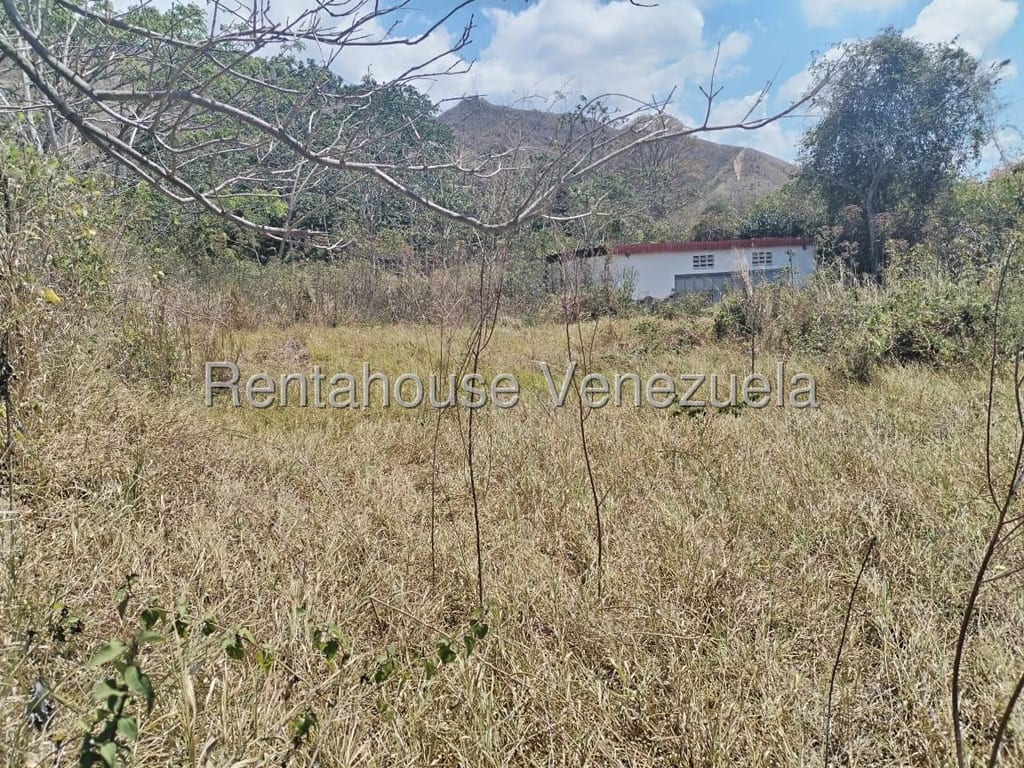Terreno en Naguanagua - 1