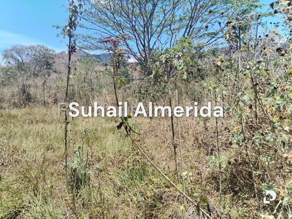 Terreno en Carialinda, Naguanagua – 2