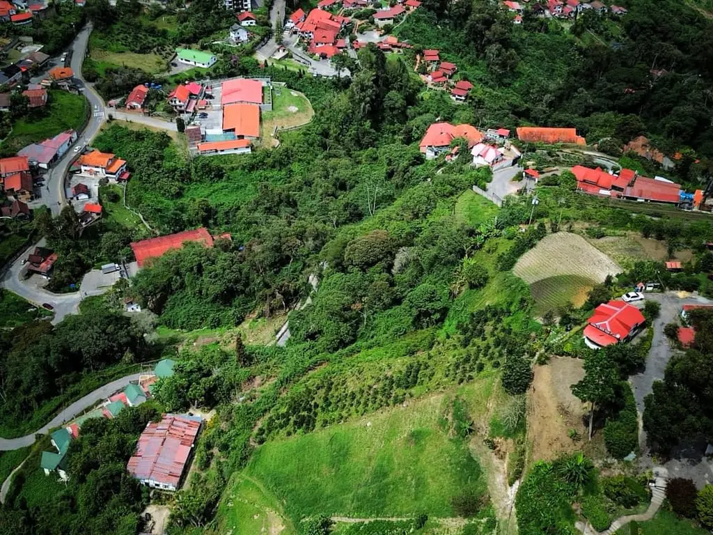 Terreno en Colonia Tovar - 1
