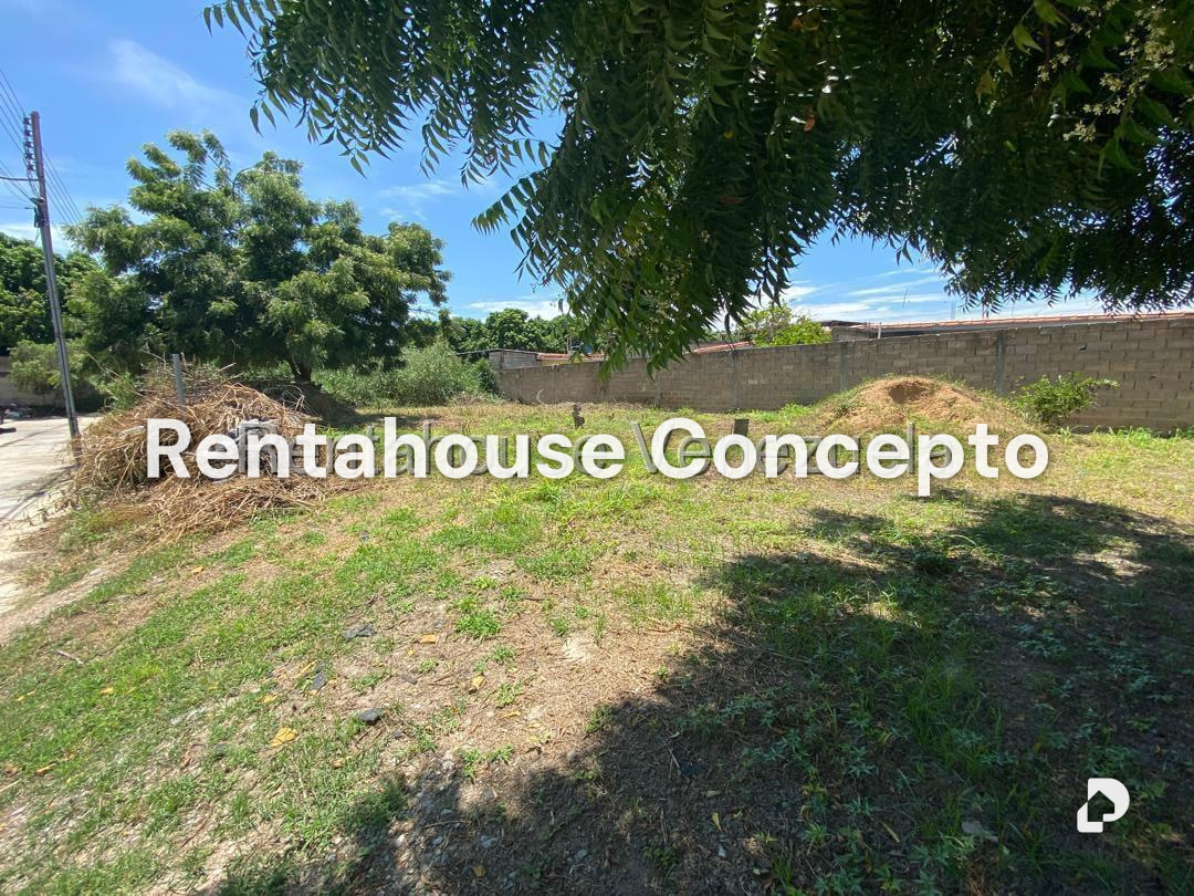 Terreno en San Joaquin, Valencia – 2