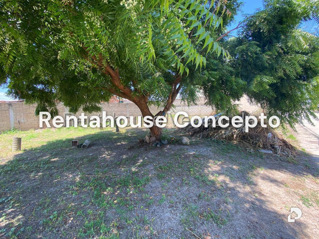 Terreno en San Joaquin, Valencia – 7