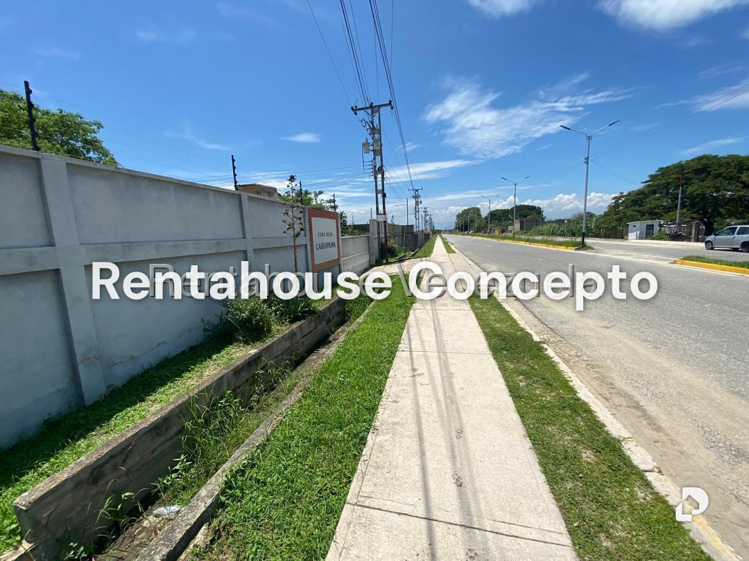 Terreno en San Joaquin, Valencia – 8