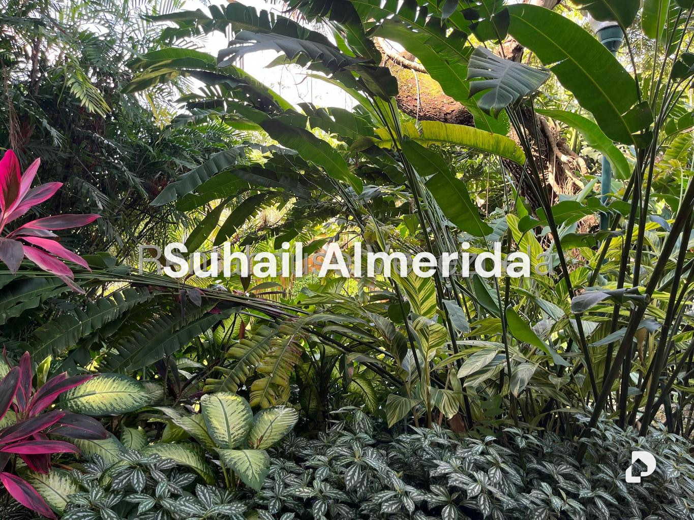 Casa en Guataparo Country Club, Valencia – 41