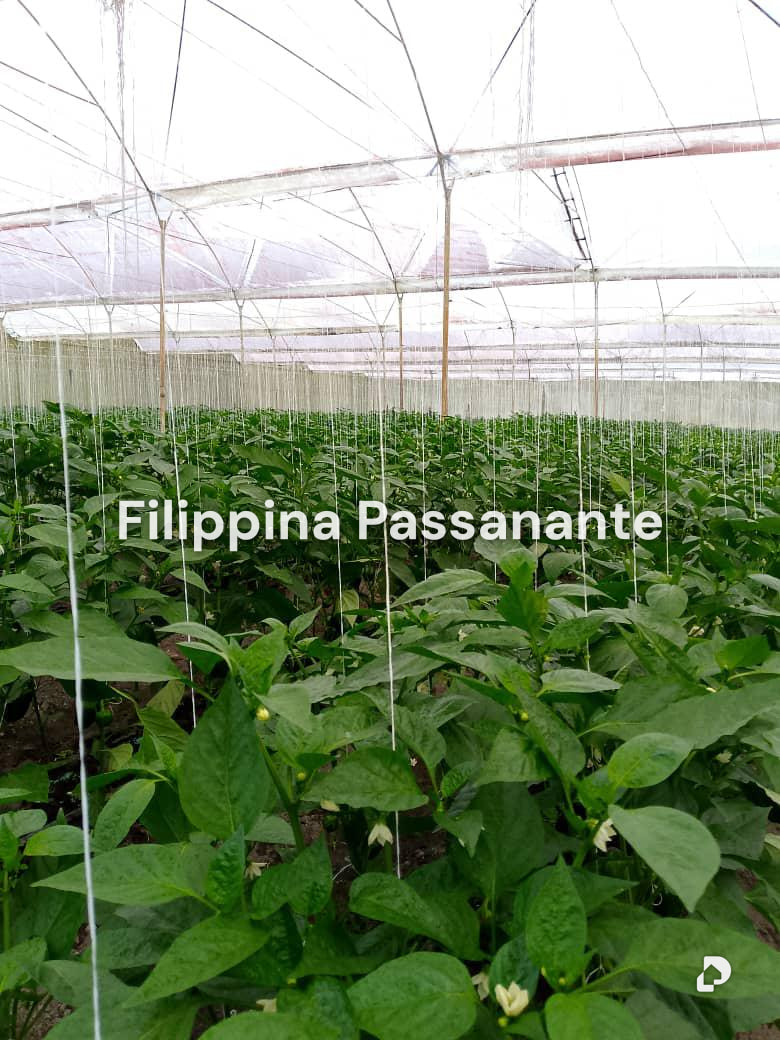 Finca en El Guácharo, Caripe – 2