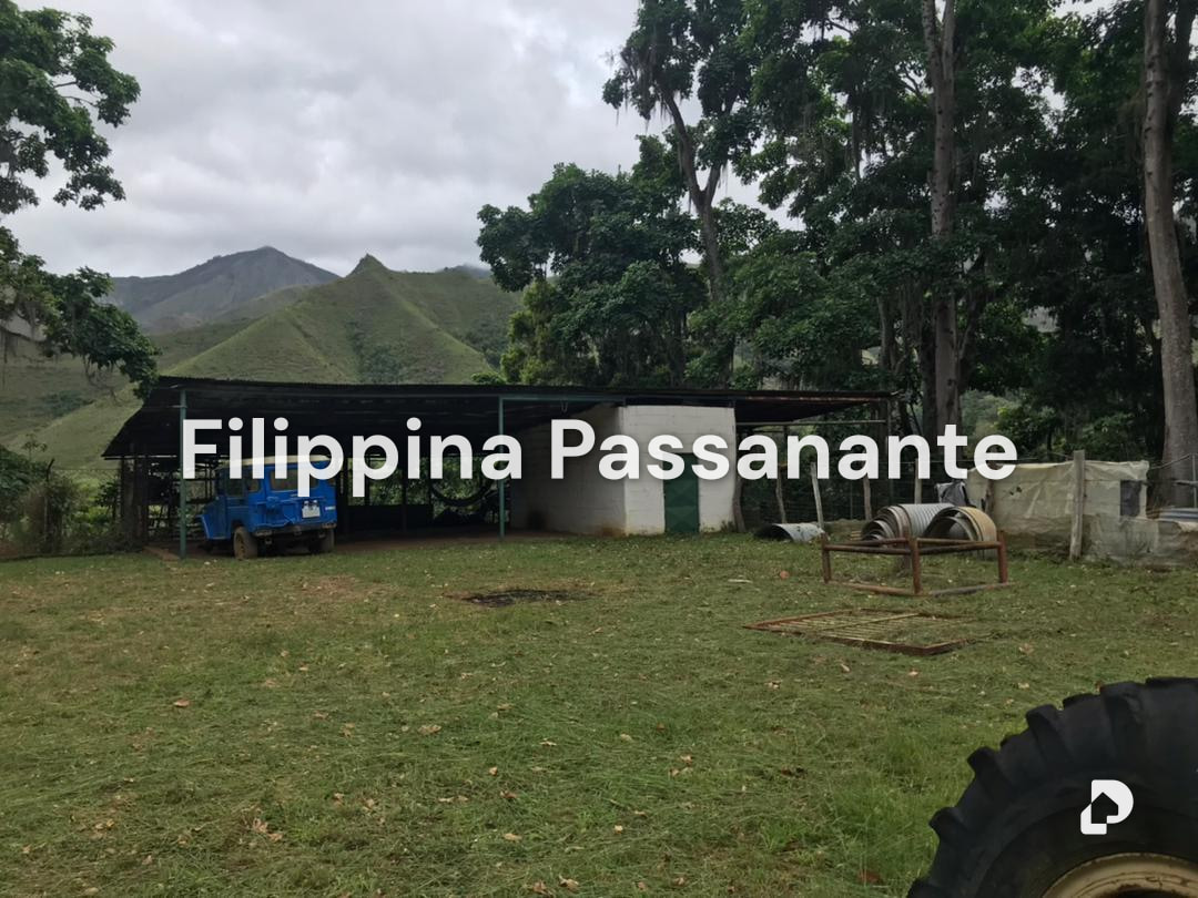 Finca en El Guácharo, Caripe – 6