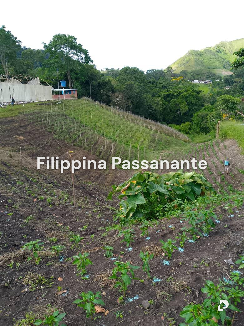 Finca en El Guácharo, Caripe – 3
