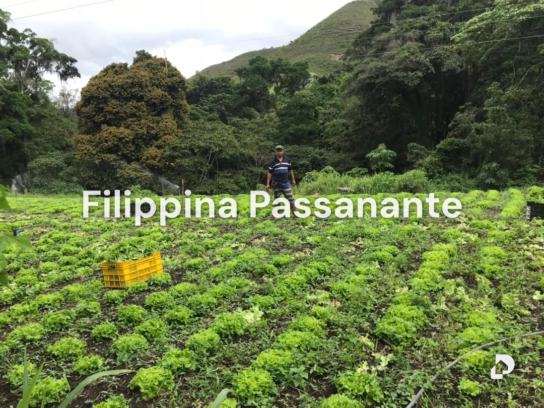 Finca en El Guácharo, Caripe – 8