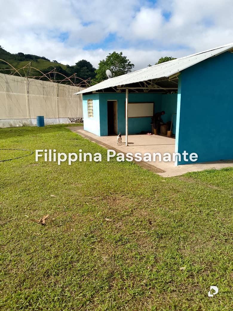Finca en El Guácharo, Caripe – 9
