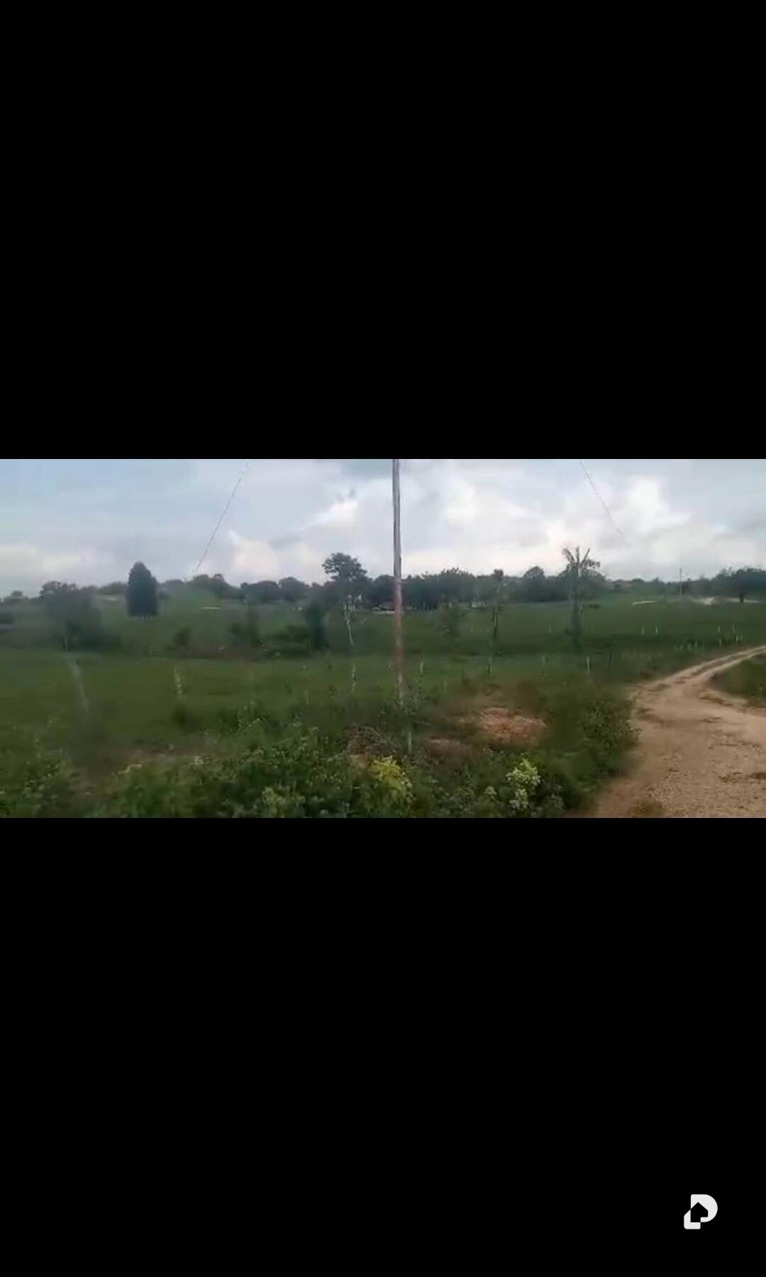 Finca en Rio Negro, Machiques – 7