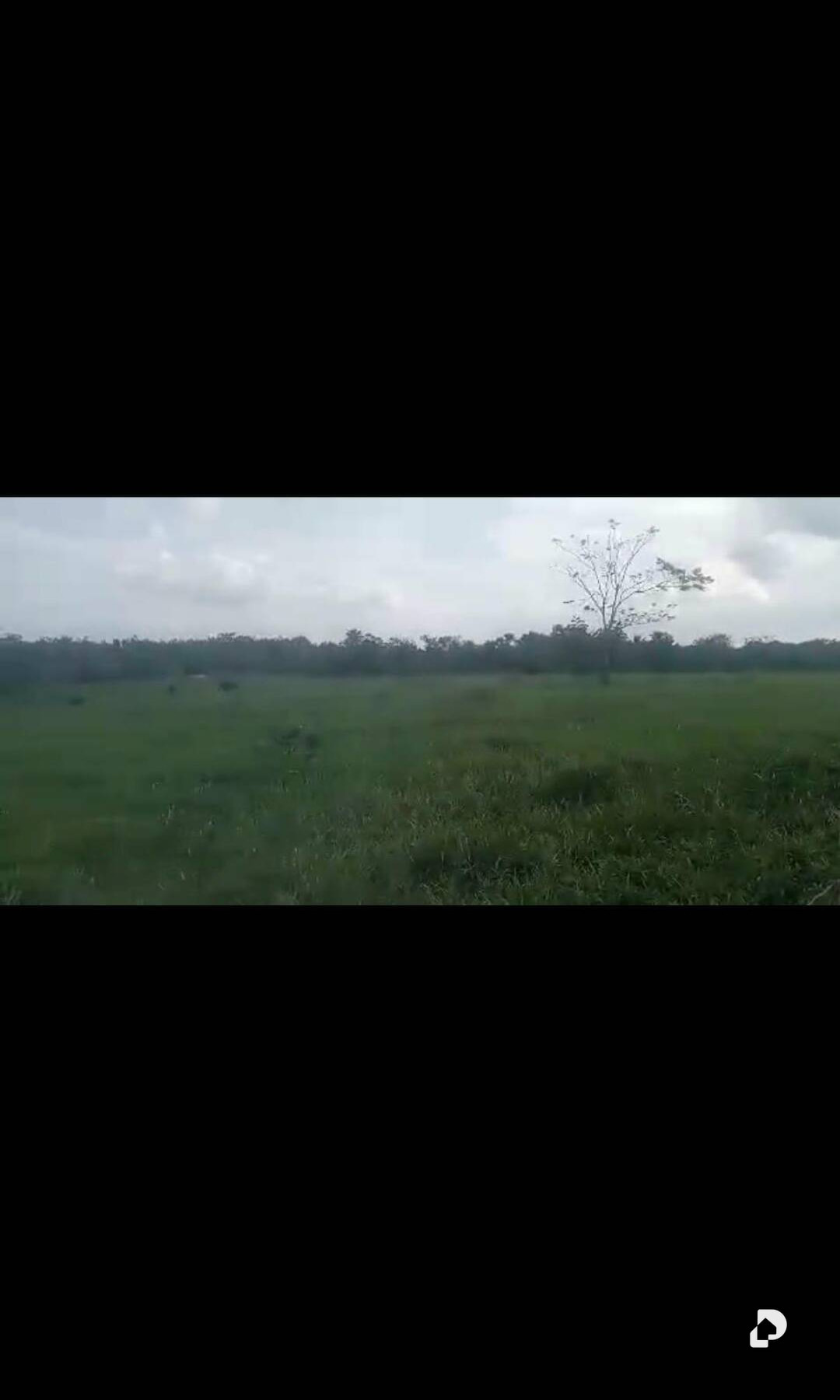 Finca en Rio Negro, Machiques – 9