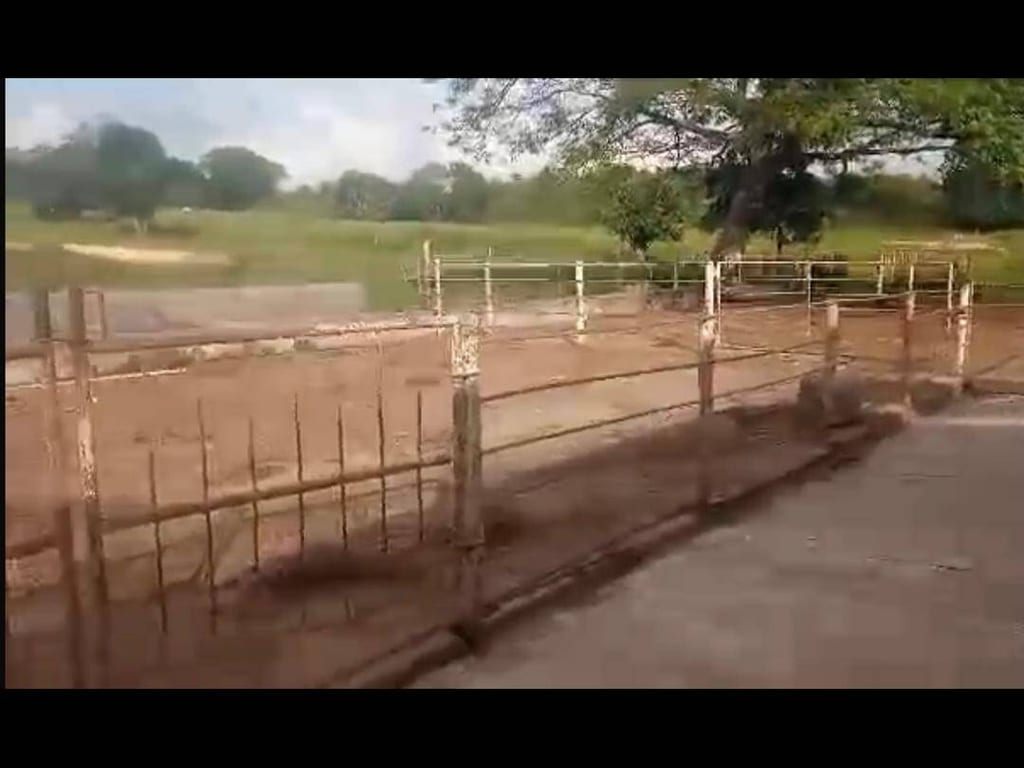 Finca en Rio Negro, Machiques - 1