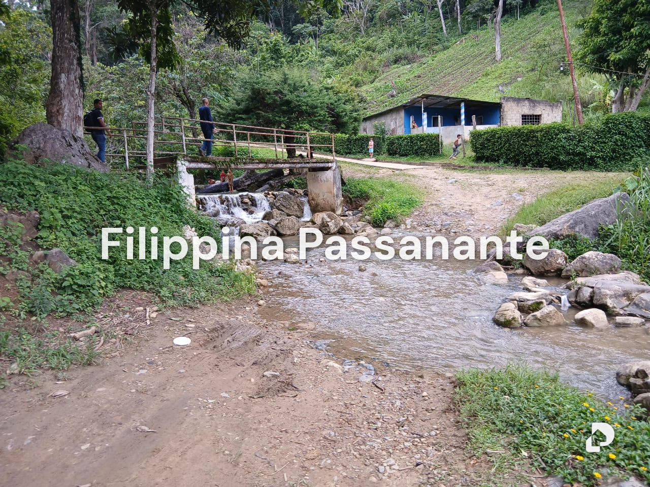 Finca en Teresen, Caripe – 2