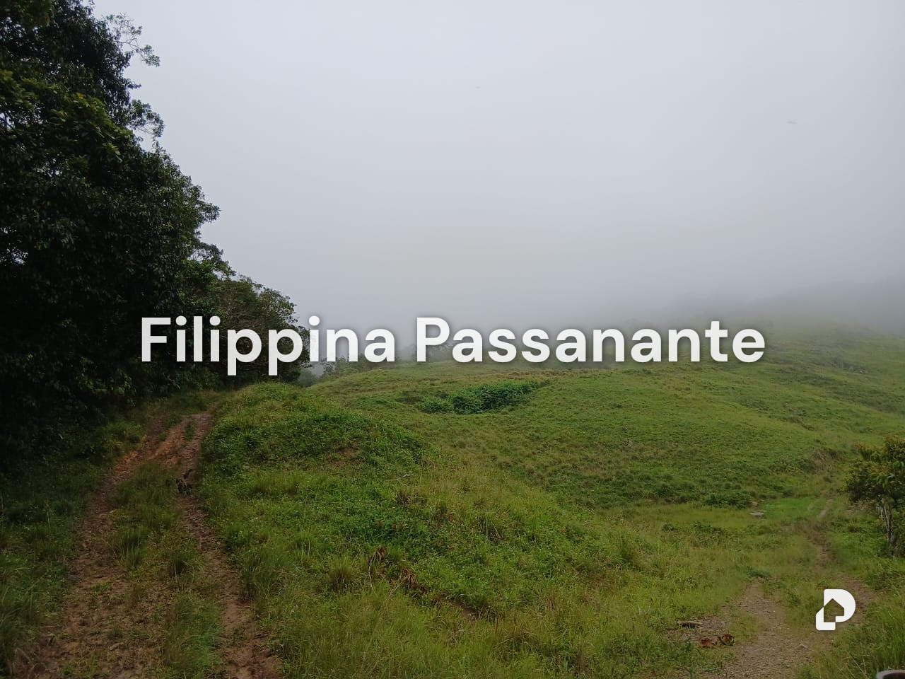 Finca en Teresen, Caripe – 7