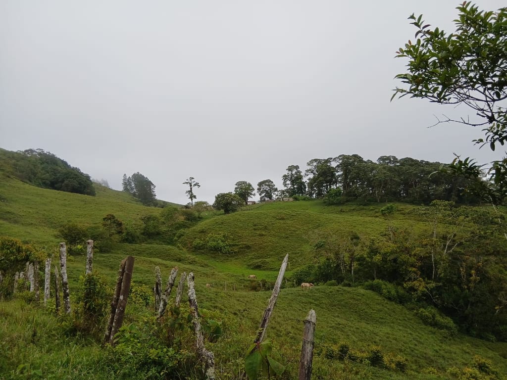 Finca en Teresen, Caripe - 1