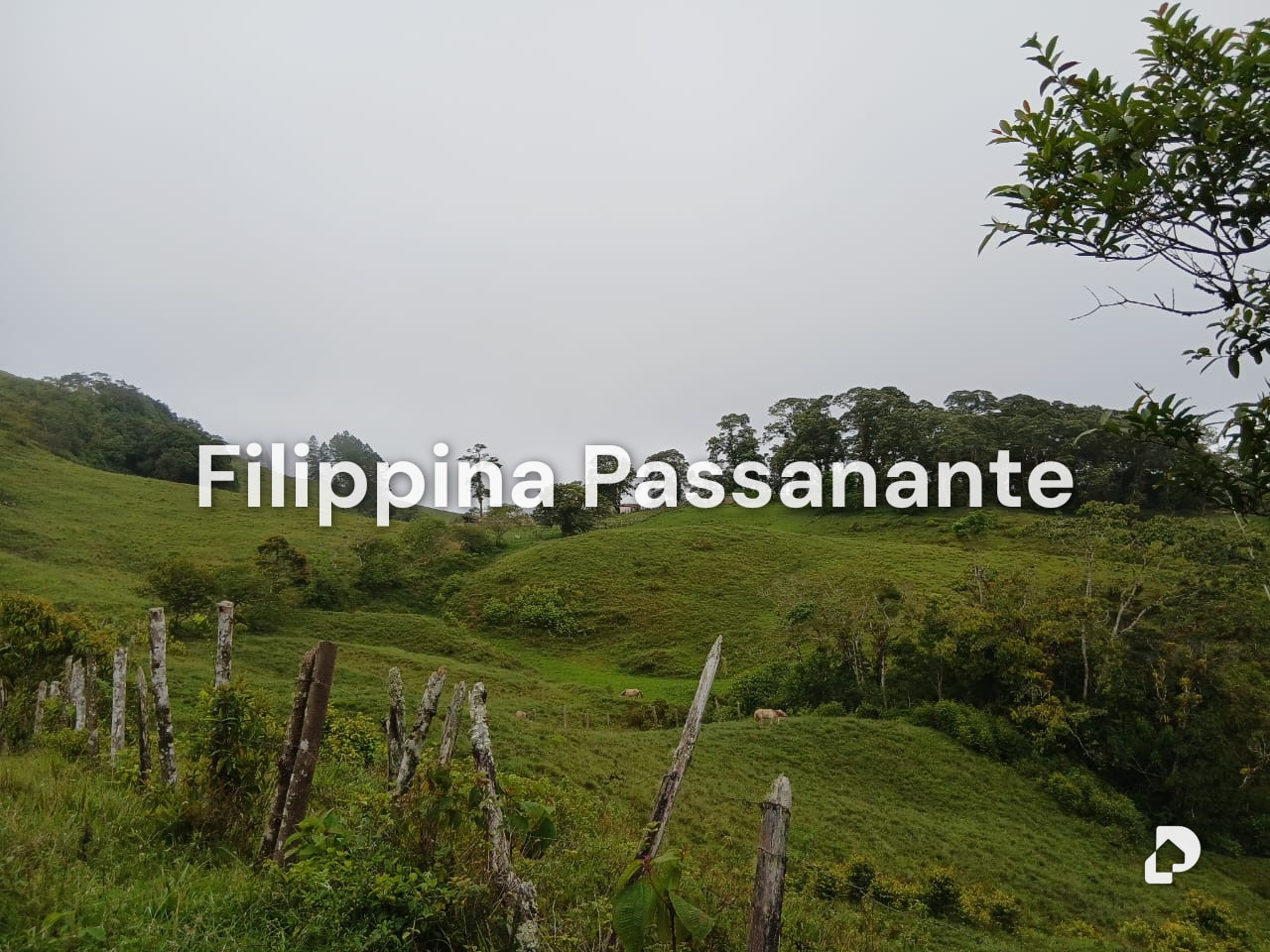 Finca en Teresen, Caripe – 1