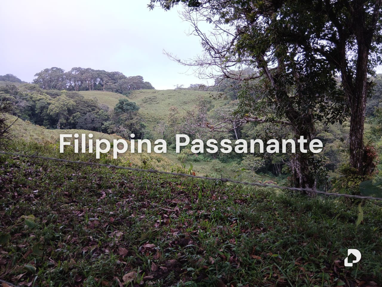 Finca en Teresen, Caripe – 6
