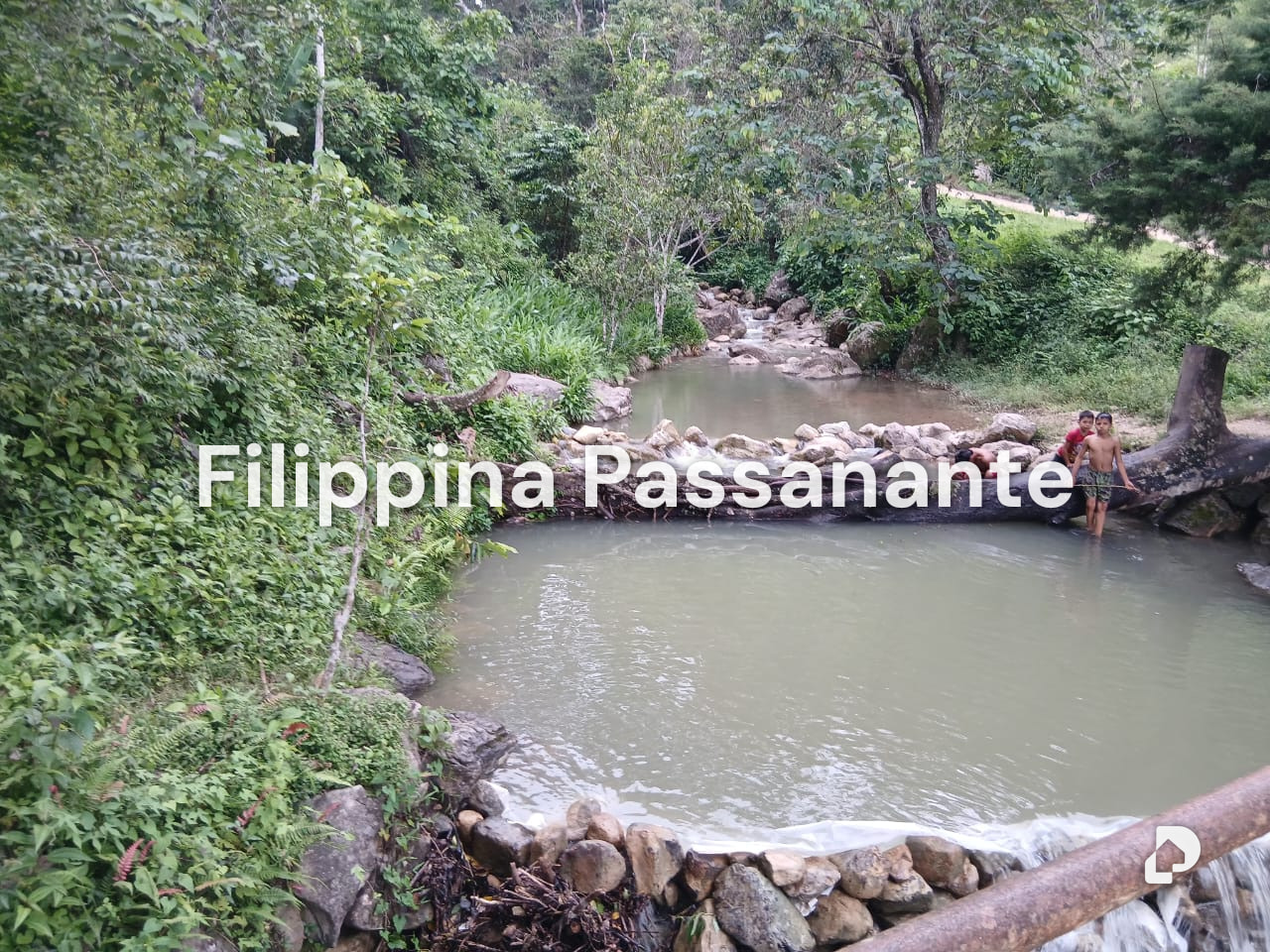 Finca en Teresen, Caripe – 3