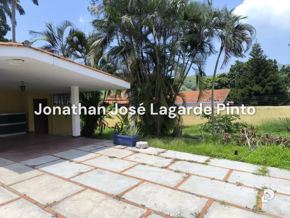 Land in El Limón – 10