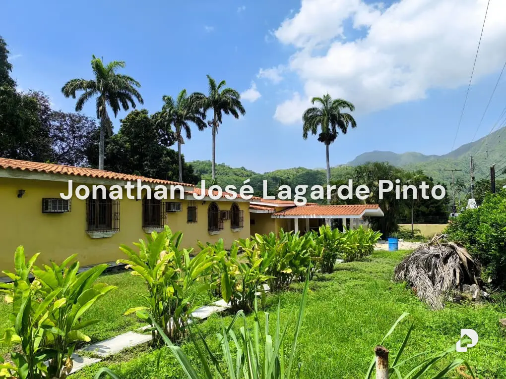 Land in El Limón – 1
