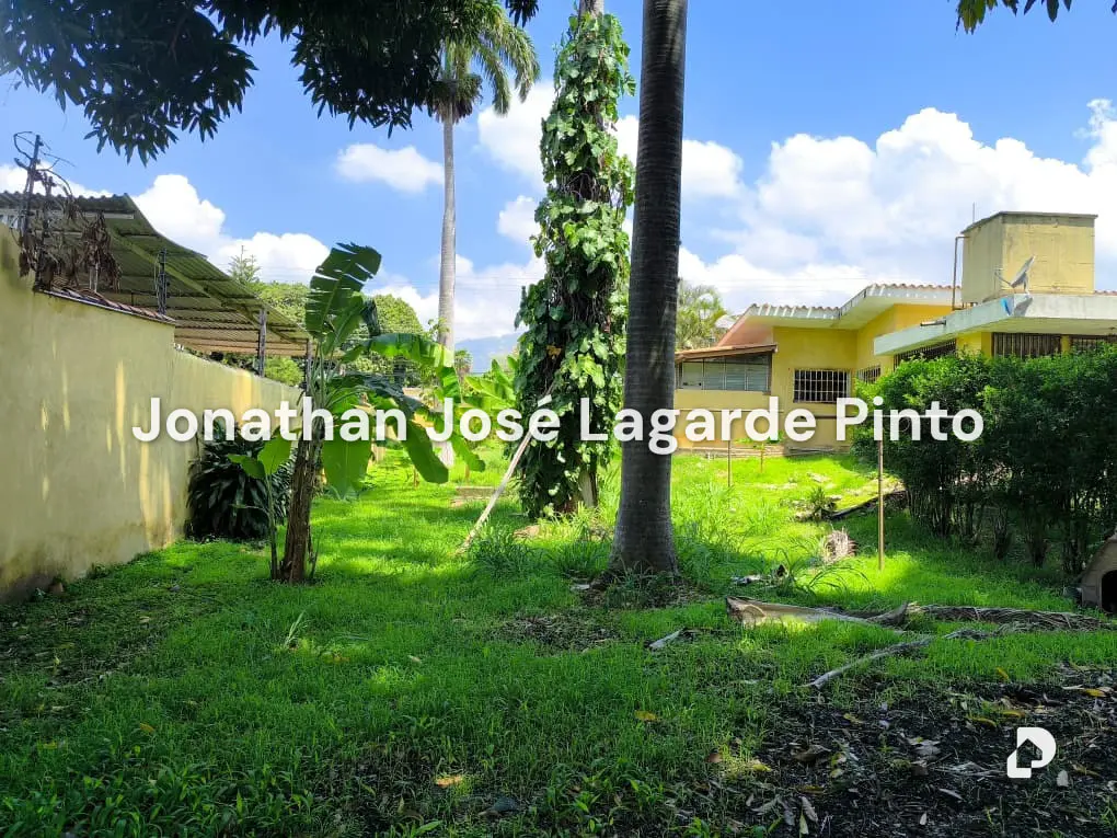 Land in El Limón – 2