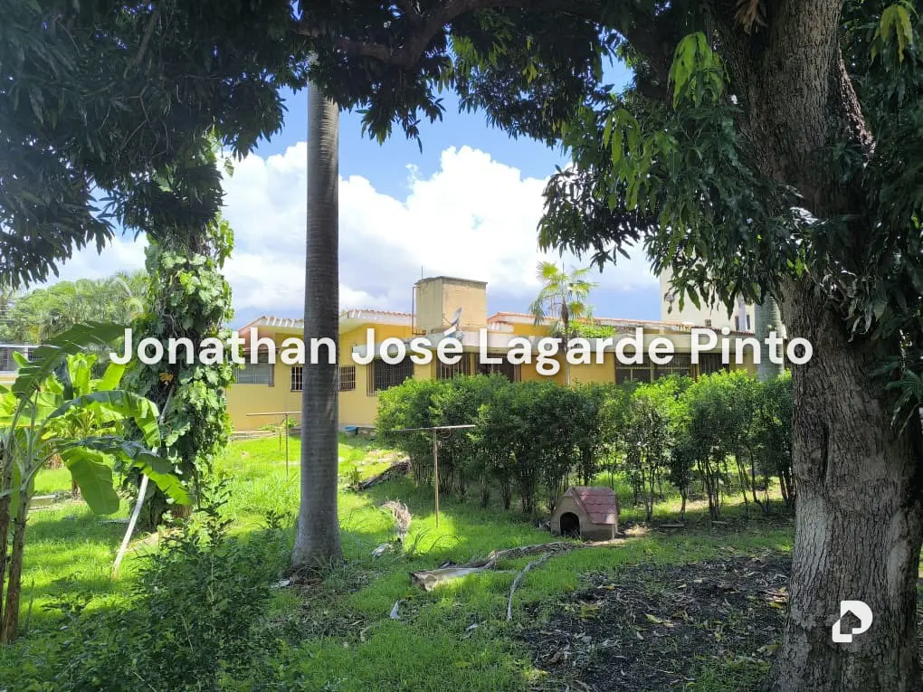 Land in El Limón – 3