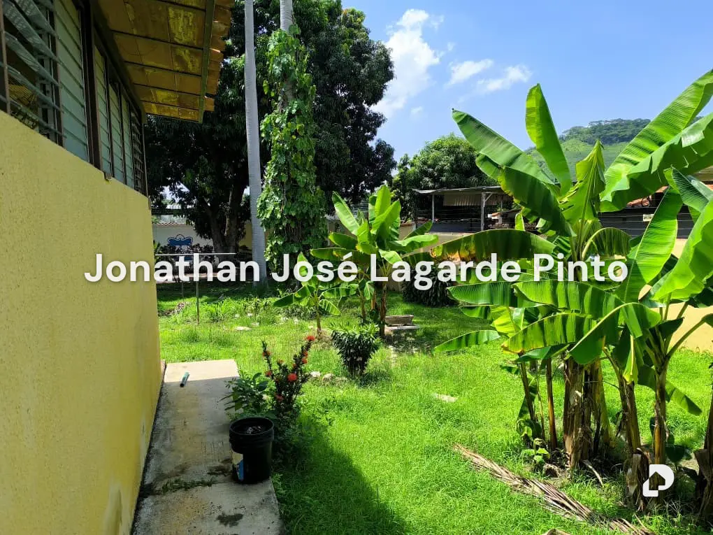 Land in El Limón – 4