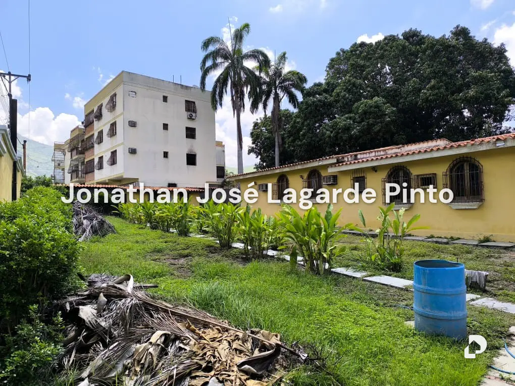 Land in El Limón – 7