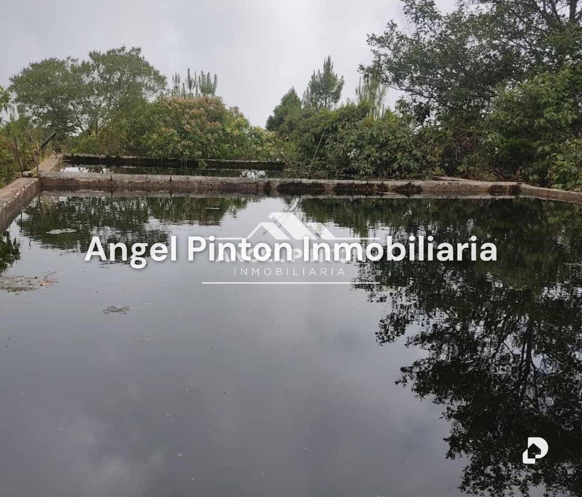 Finca en San Jacinto, Trujillo – 3