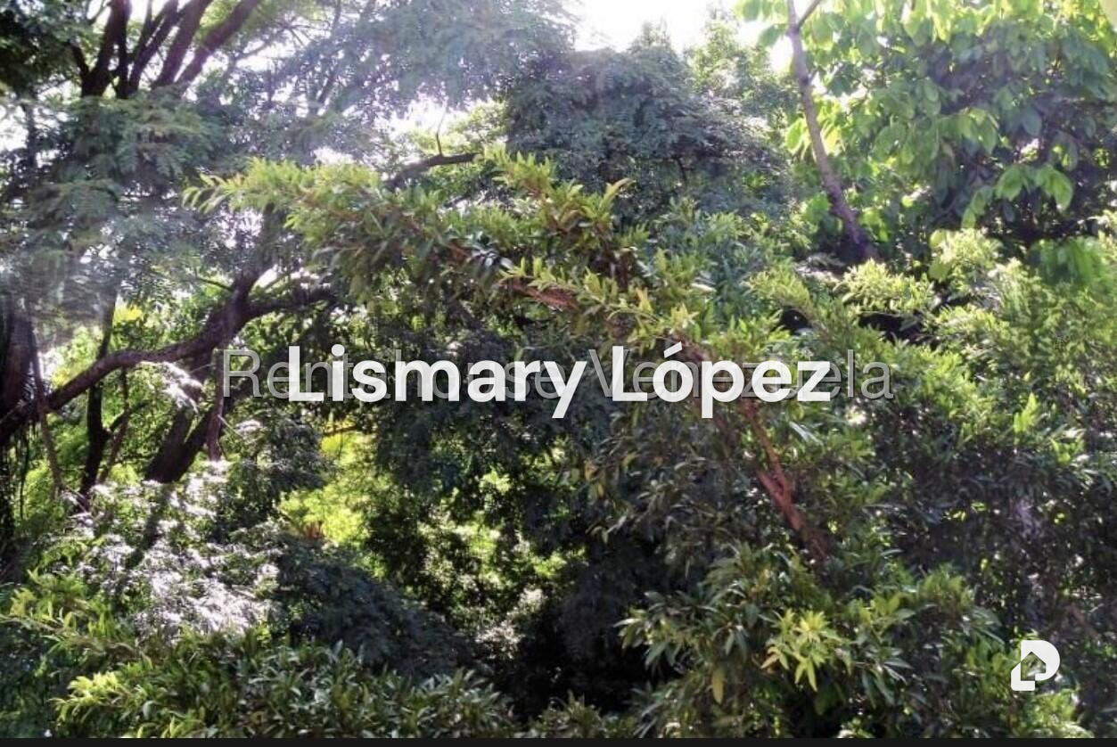 Casa en Altamira, Caracas – 7