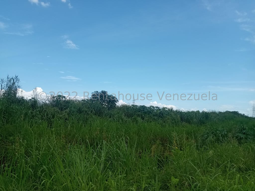 Terreno en Valencia - 1