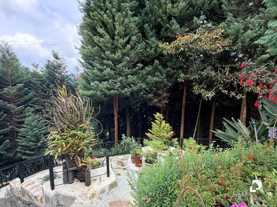 Casa en Colonia Tovar – 18