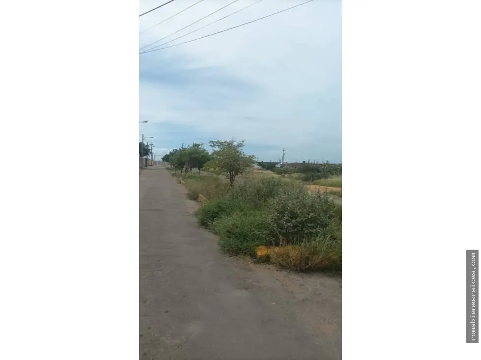 Terreno en Punto Fijo - 1