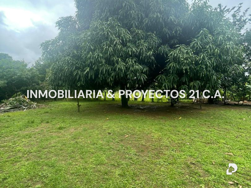 Terreno en Tinaquillo – 5