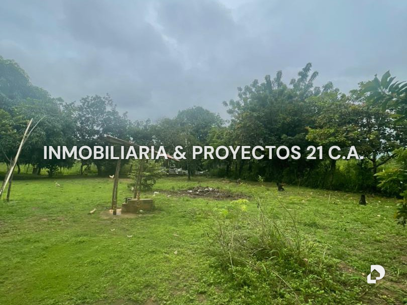 Terreno en Tinaquillo – 1